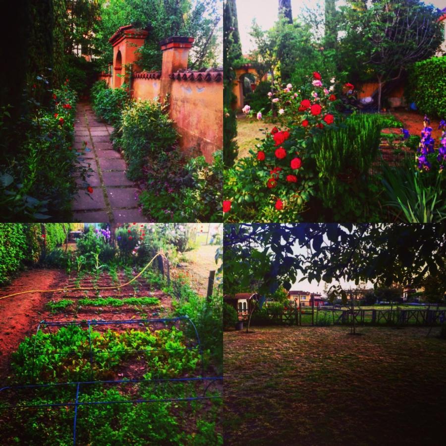 Cascina Corteprimavera, B&B Del Baliot Passirano Exteriör bild