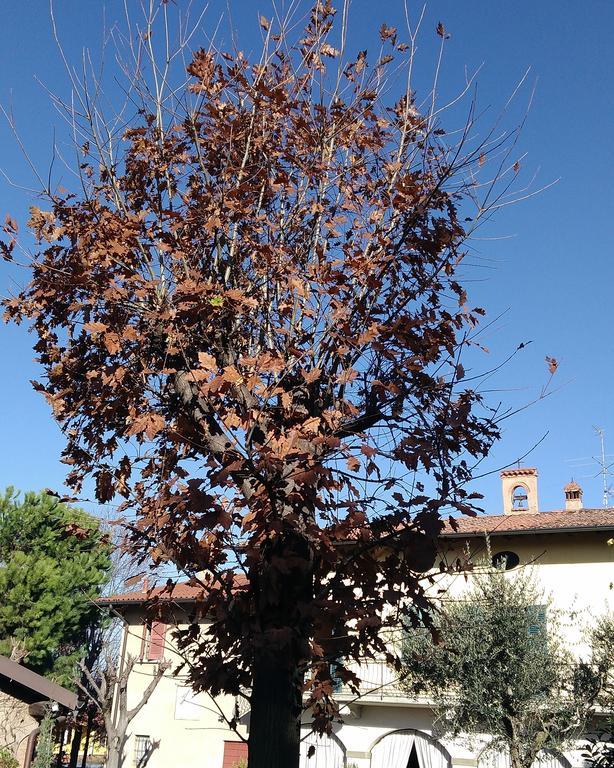 Cascina Corteprimavera, B&B Del Baliot Passirano Exteriör bild