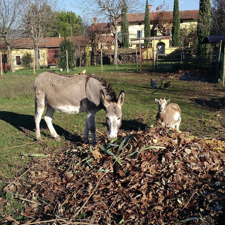Cascina Corteprimavera, B&B Del Baliot Passirano Exteriör bild