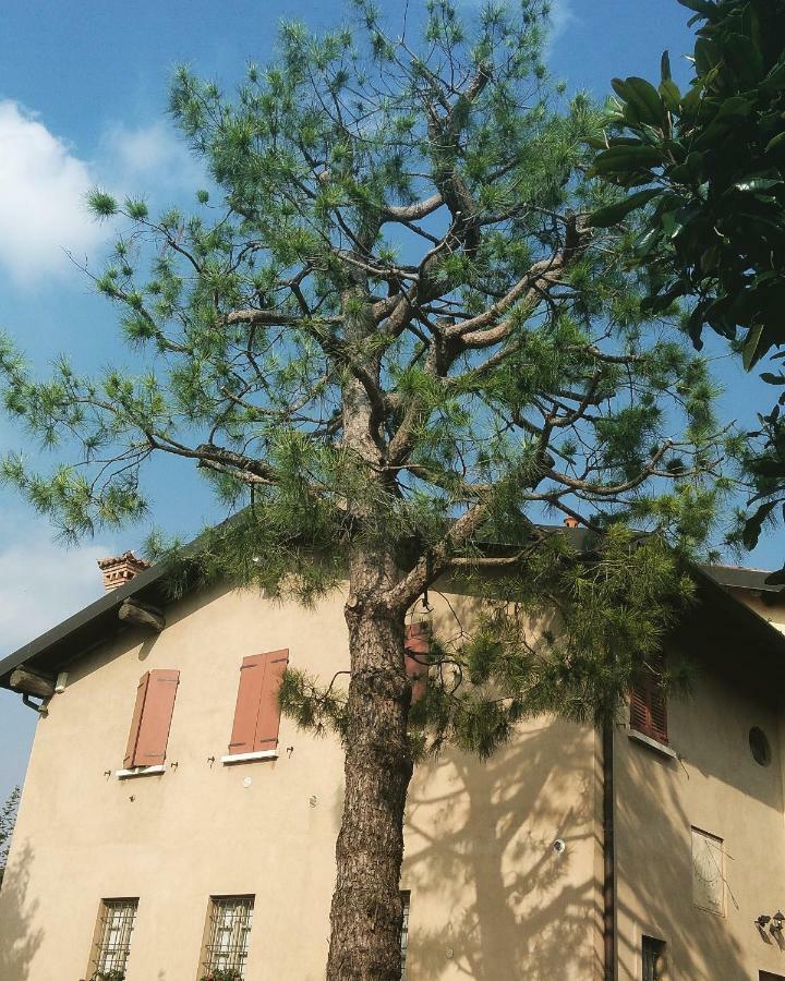Cascina Corteprimavera, B&B Del Baliot Passirano Exteriör bild